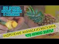 Укоренение коронки ананаса из магазина дома. Как выбрать ананас и размножить. Подробно! Часть 1.