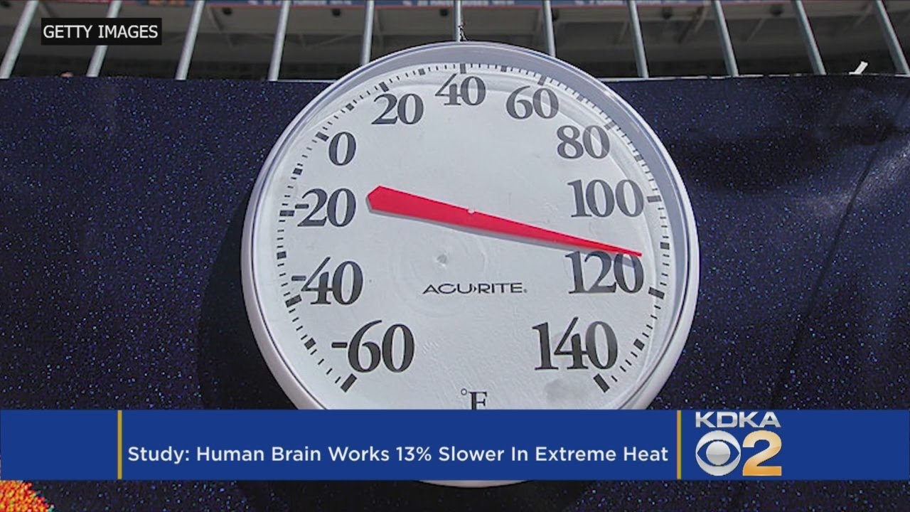 Brain Study Finds People Actually Get Dumber During A Heat Wave