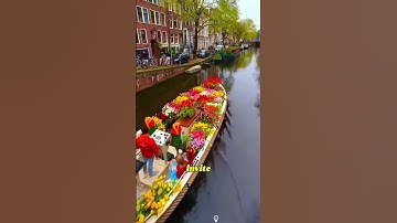 “The Netherlands Will Pay You $5 Million Just to Live Here?”#Netherlands #MoveAbroad