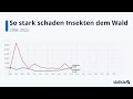 So stark schaden Insekten dem Wald: Statista Racing Bar Animation DE