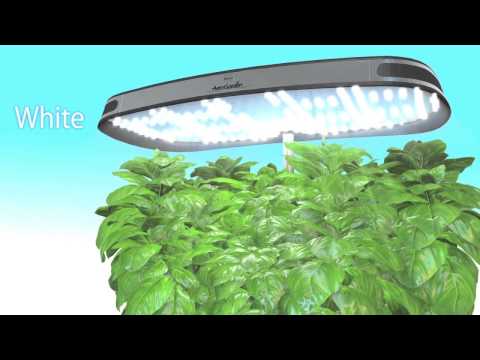 How the AeroGarden Works