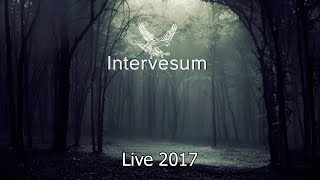 Intervesum - выступление на фестивале \