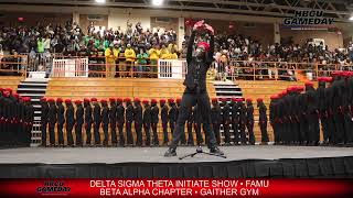 Famu Head Drum Major Brings Down The House At Delta Sigma Theta Initiate Show   Hbcugamedaycom
