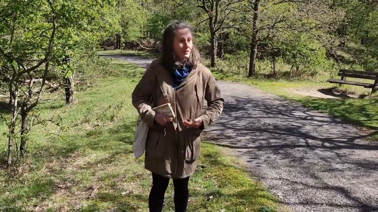 Wandeling met scheutje Zen