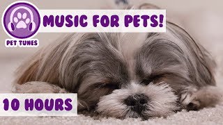 Music For dogs, Calm and Relax Your Dog at Home, Quickly Soothe Your Dog, Help Your Dog Sleep