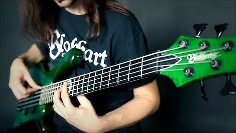 BEYOND CREATION - "Omnipresent Perception" (Bass Cover)