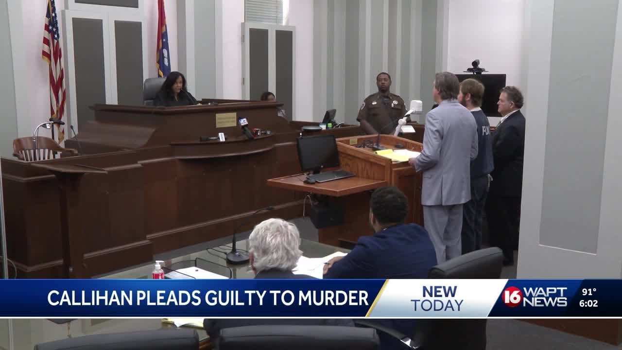 Daniel Callihan pleads guilty to murder, kidnapping, sexual battery ...