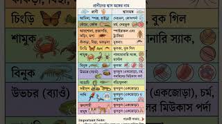 Respiratory Organs of Animals#wbssc #gk #generalknowledge #ntpcstaticgk #education #রেলওয়ে #gkquiz