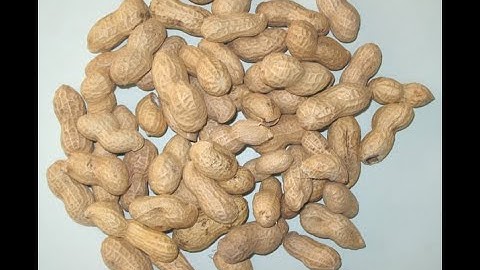 Peanut Porcessing Sorting Machine