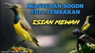 🔴MASTERAN SOGON FULL TEMBAKAN ‼️ ISIAN MEWAH ‼️