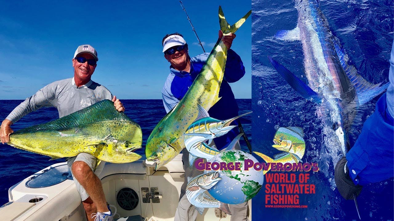 2020 SEASON - Episode 4 Green Turtle Cay, Bahamas, White marlin under the birds! 4k