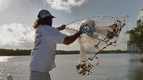 Best Cast Net Throw No Teeth