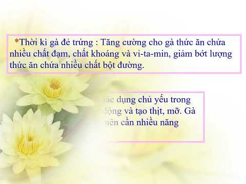 LỚP 5 - Tuần 19: KĨ THUẬT: NUÔI DƯỠNG GÀ