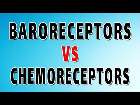 Chemoreceptors and Baroreceptors