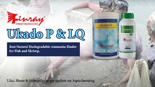Ukado P & LQ | Best Natural Biodegradable Ammonia Binder for Fish and Shrimp | Finray Biotech Inc