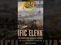 420 and ReggaeSurf Cloud9