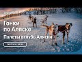 Гонки по Аляске | Полеты вглубь Аляски | Discovery