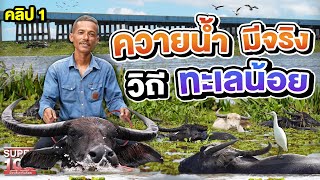 คลิป 1 | ทำความรู้จักกับ 