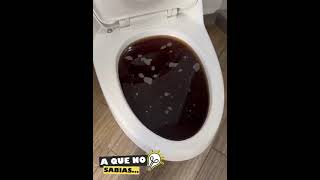 Cómo DESTAPAR tu Inodoro o Toilet Solo con CINTA ADHESIVA