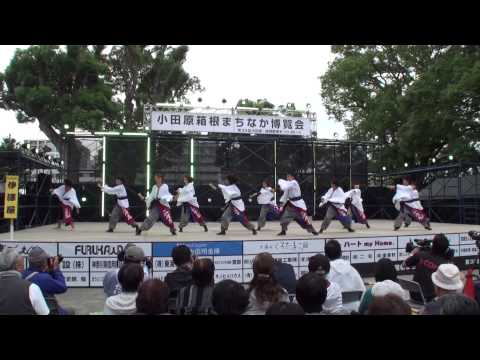 伊澤屋　2014小田原えっさホイ　コンテスト