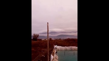 سورة الجاثية_القارئ أنس المالك