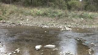 Обзор речек Опир и Славская в пгт Славское / Overview of rivers in Slavsky Lviv region in autumn