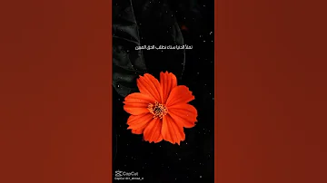 سوف نمضي في دروب الحق دنيانا ودين 