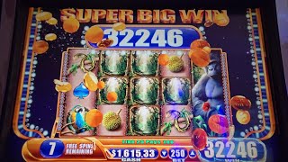 SUPER BIG WINNING BONUS SESSION ON QUEEN OF THE WILD