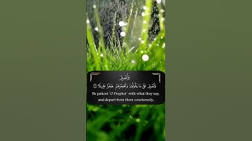 اسمع بقلبك القارئ عبدالرحمن مسعد