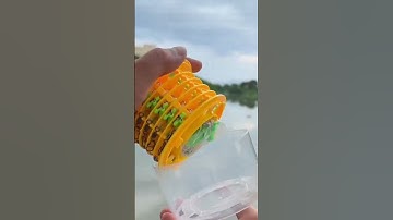 Lưỡi câu cá chép 5 trong 1 SIÊU HOT nhất trong năm 2025! #fishing #fishinghooks #shorts