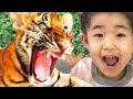 VLOG Take Pictures in Tiger Park Pattaya Family Fun For KIds