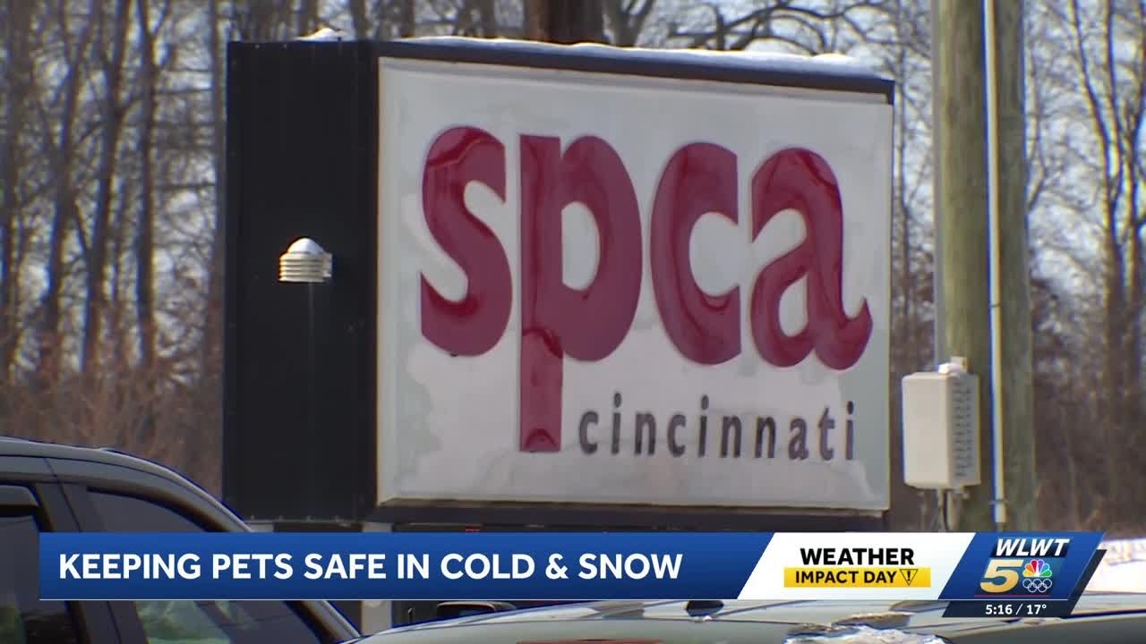 Cold weather challenging pet owners and shelters in Hamilton County
