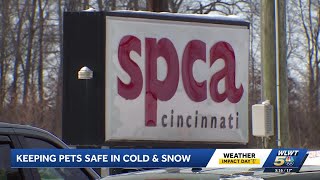 Cold weather challenging pet owners and shelters in Hamilton County