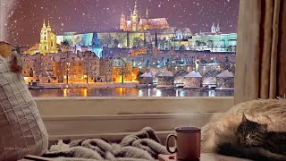 Cozy Winter View ❄️ Winter Evening ASMR Sounds (Winter Ambient Sounds for Relaxation) by Blissful Dreams 1,953 views 2 years ago 2 hours