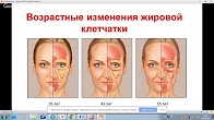 Данного другого с возрастом. Возрастные изменения лица. Возрастные изменения мышц лица. Возрастные изменения мышц лица схема. Структурные изменения в жировой ткани лица.