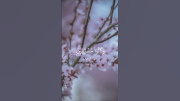 سورة الزخرف / أحمد بن طالب