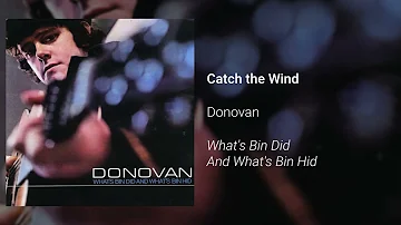 Donovan - Catch the Wind (Official Audio)