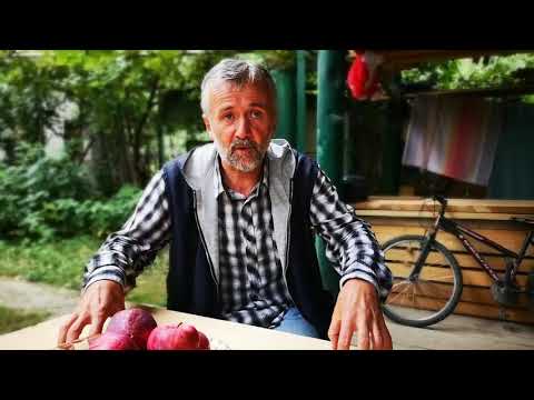 რას გულისხმობს სვანური სამართალი?