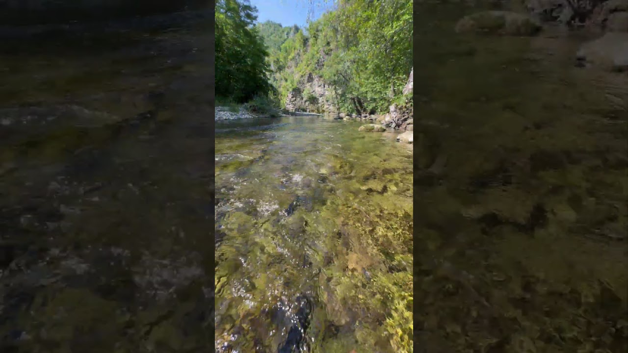 Rzav River – Serbia's Hidden Paradise 🌿💧