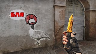 Қасқырлармен секс мультфильмі