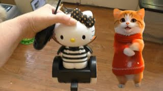 Cats Vs Halloween Hello Kitty On Hoverboard From Five Below! 👻😻