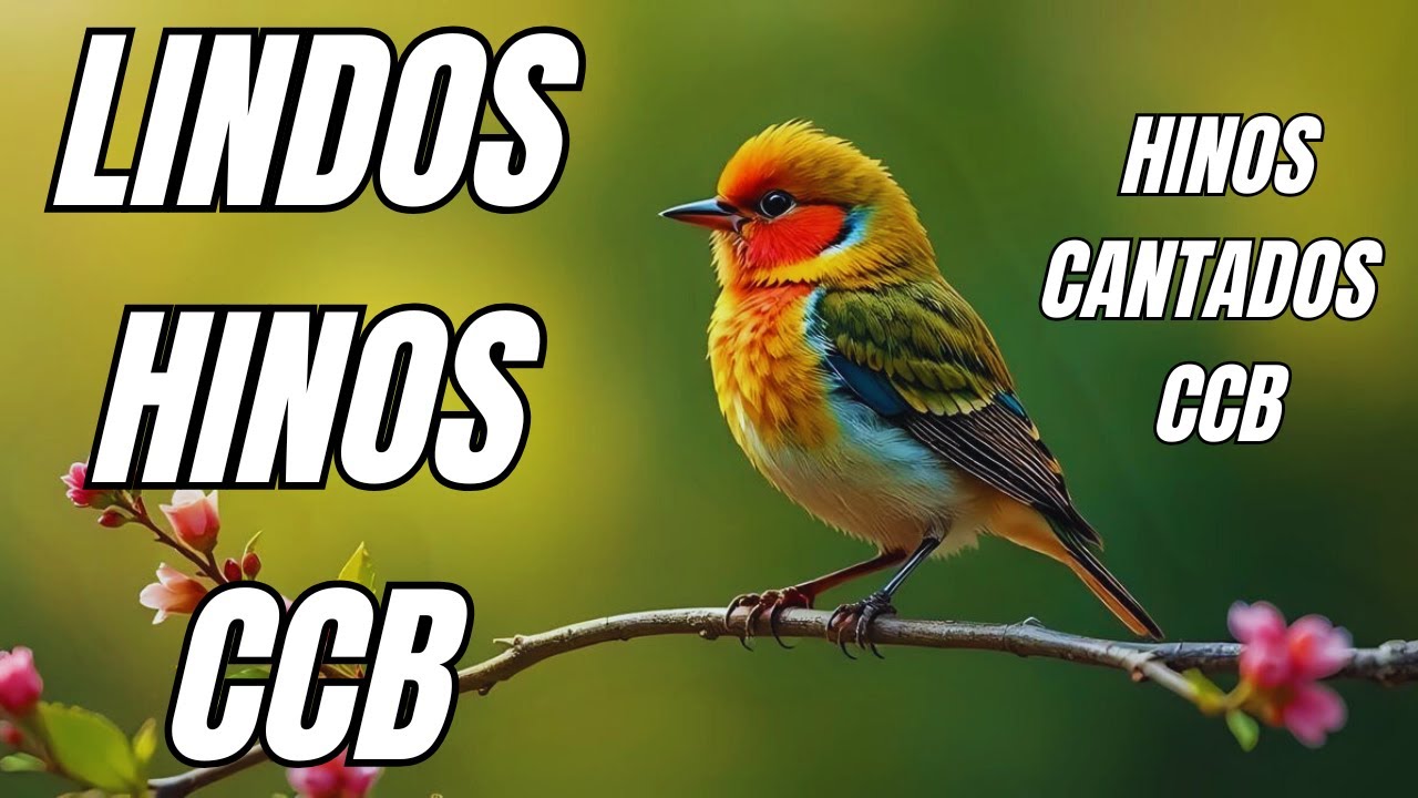 HINOS CANTADOS CCB - 30/12/2025 - 480 HINOS 1,2,3,4,5,6,7,8,9,10,11,12,13,14,15,16,17,18,19,20,21...