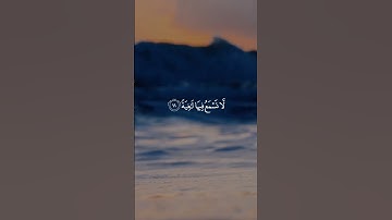 سورة الغاشية #المصحف #راحة_نفسية #الرحمن