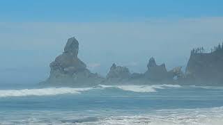 Shi Shi Beach Waves