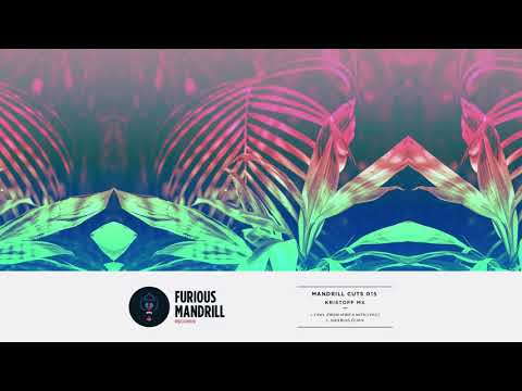 Kristoff MX - Nigerian Flava (Original Mix) [FURIOUS MANDRILL RECORDS]