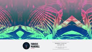 Kristoff MX - Nigerian Flava (Original Mix) [FURIOUS MANDRILL RECORDS]