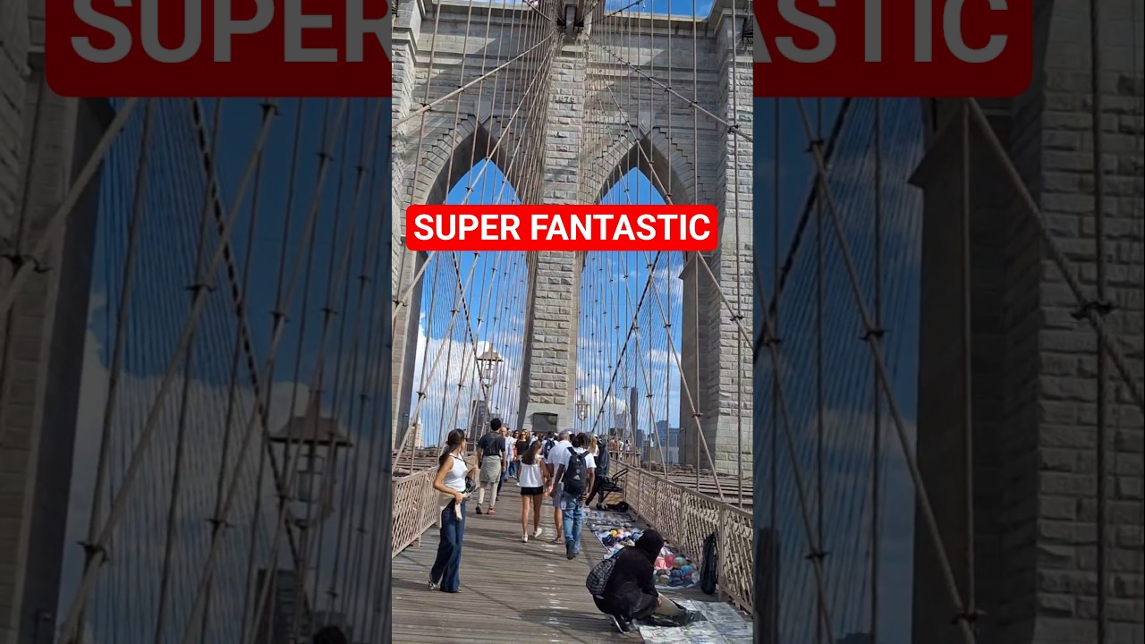 Walking In NewYork City 