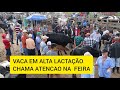 FEIRA DAS VACAS LEITERAS DE CAPOEIRAS PE. 09 de junho de 2023