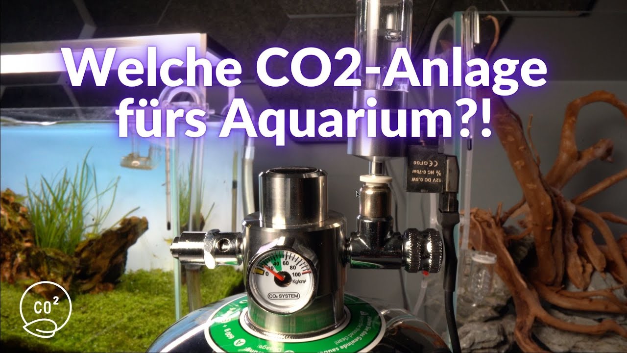 ➜ CO2-Anlage im Aquarium Grundlagen: das solltest Du wissen!
