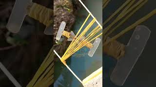 Jet Jet Chơi Bo Bo Như Thế Nào